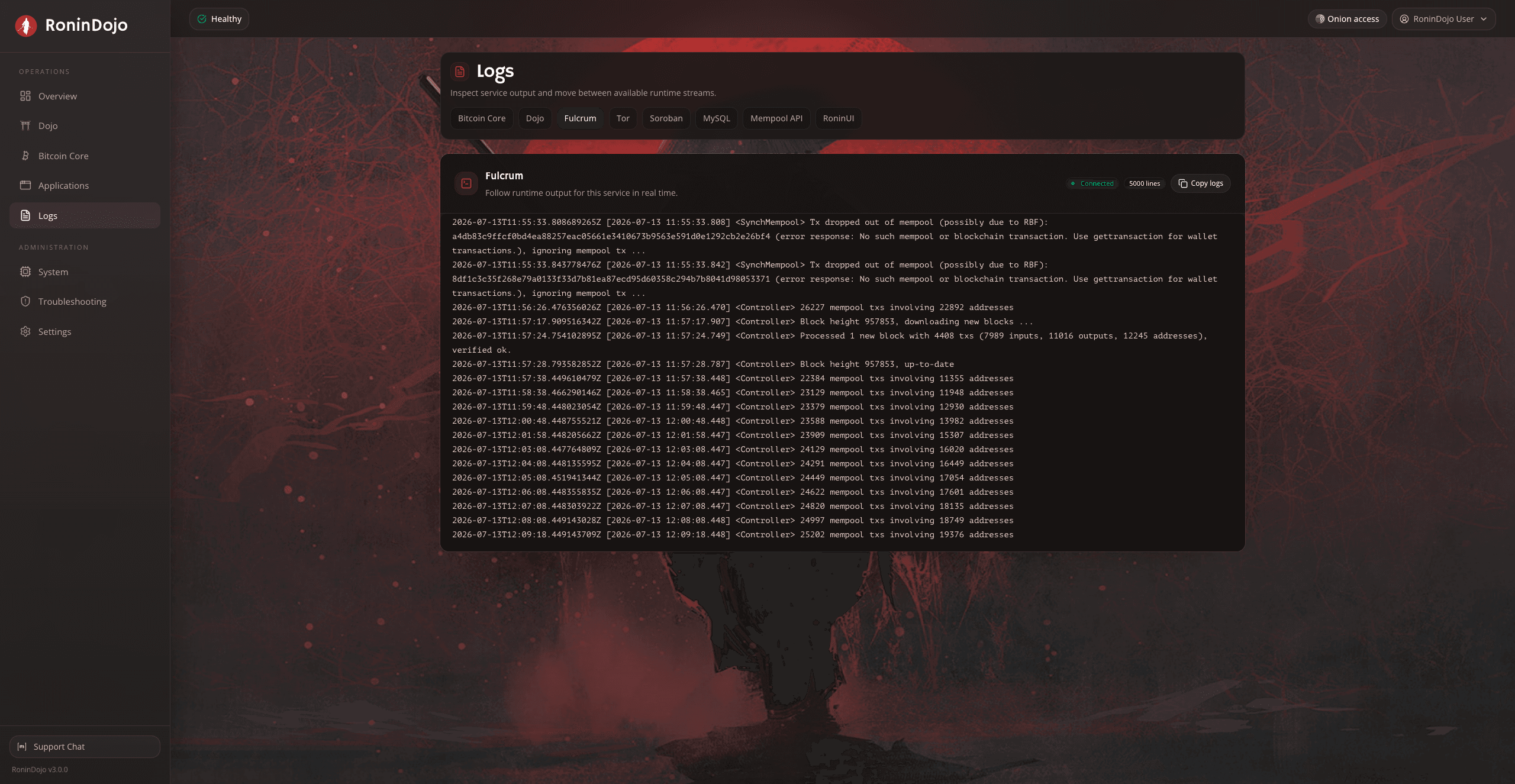 RoninUI logs panel streaming real-time service output