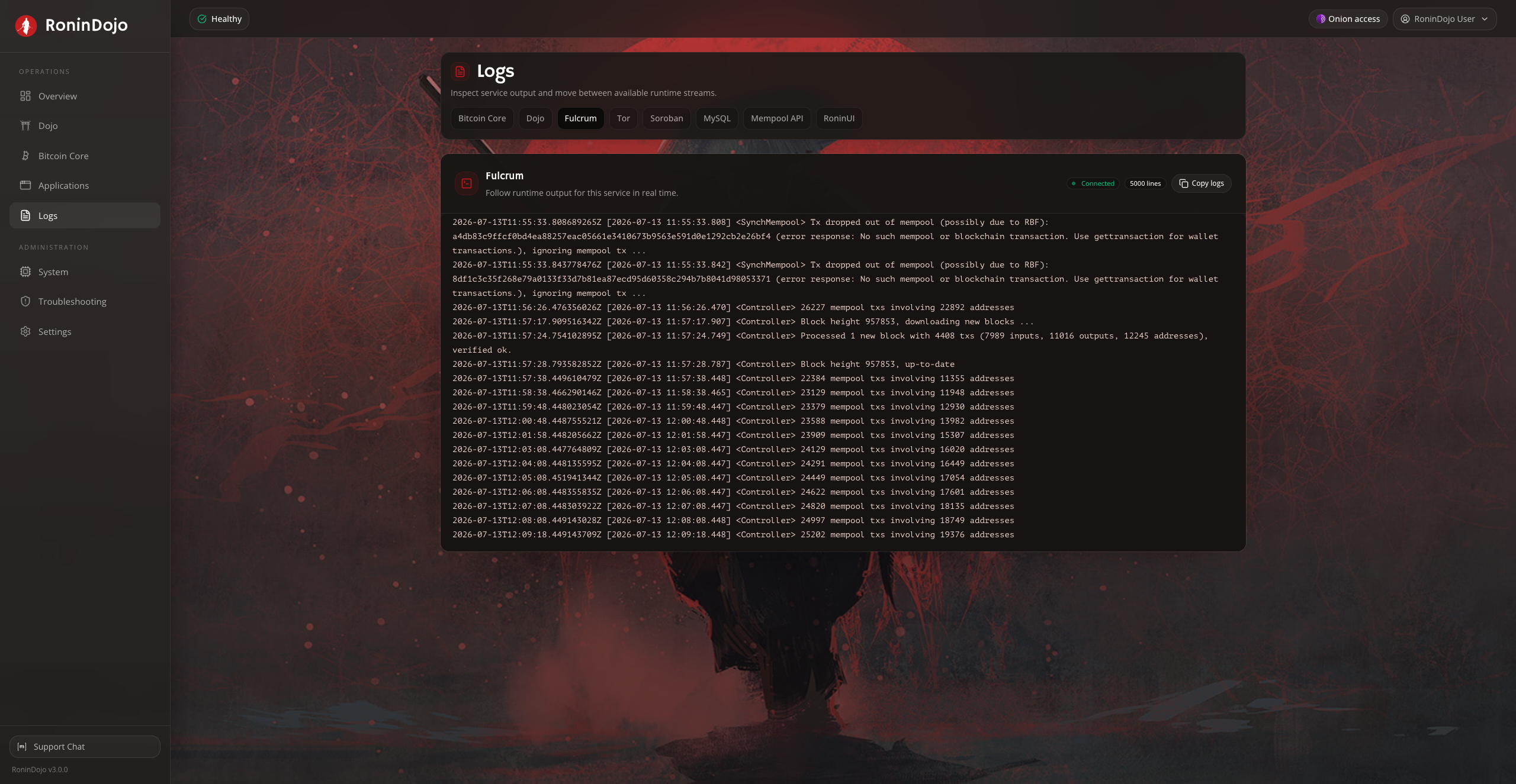 RoninUI logs panel streaming real-time service output